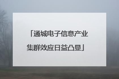 通城电子信息产业集群效应日益凸显