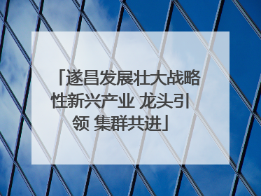 遂昌发展壮大战略性新兴产业 龙头引领 集群共进