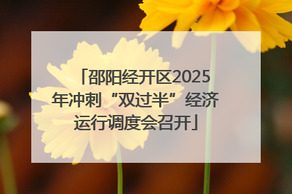 邵阳经开区2025年冲刺“双过半”经济运行调度会召开
