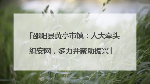邵阳县黄亭市镇：人大牵头织安网，多力并聚助振兴