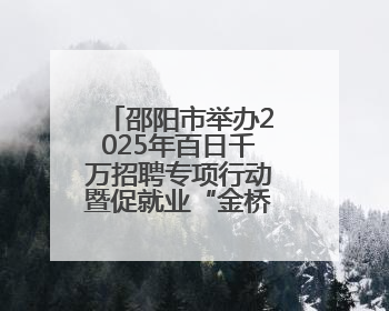 邵阳市举办2025年百日千万招聘专项行动暨促就业“金桥行动”高校毕业生专场招聘会