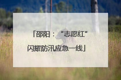 邵阳：“志愿红”闪耀防汛应急一线