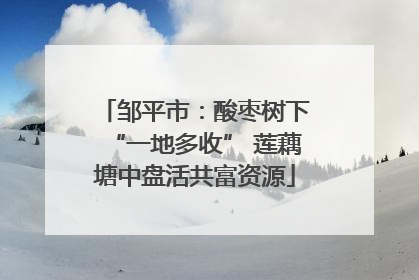 邹平市：酸枣树下“一地多收” 莲藕塘中盘活共富资源