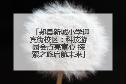 郏县新城小学迎宾街校区：科技游园会点亮童心 探索之旅启航未来