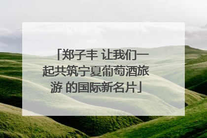 郑子丰 让我们一起共筑宁夏葡萄酒旅游 的国际新名片