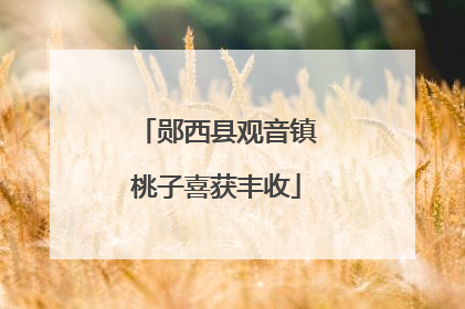 郧西县观音镇桃子喜获丰收