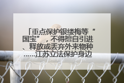 重点保护银缕梅等“国宝”，不得擅自引进、释放或丢弃外来物种……江苏立法保护身边的生物“朋友圈”