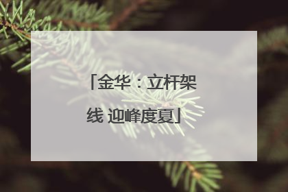 金华：立杆架线 迎峰度夏