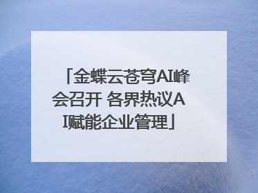 金蝶云苍穹AI峰会召开 各界热议AI赋能企业管理
