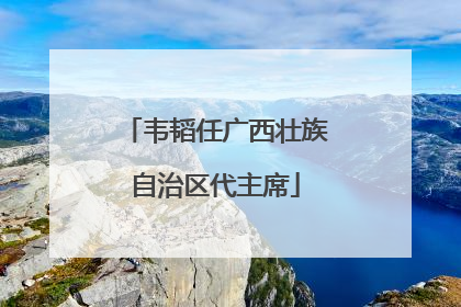 韦韬任广西壮族自治区代主席