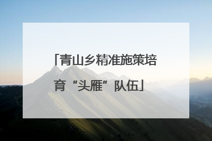青山乡精准施策培育“头雁”队伍