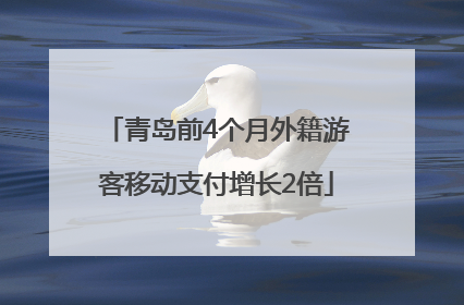 青岛前4个月外籍游客移动支付增长2倍