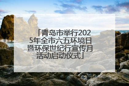 青岛市举行2025年全市六五环境日暨环保世纪行宣传月活动启动仪式