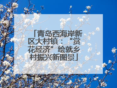 青岛西海岸新区大村镇：“赏花经济”绘就乡村振兴新图景