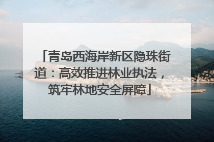 青岛西海岸新区隐珠街道：高效推进林业执法，筑牢林地安全屏障