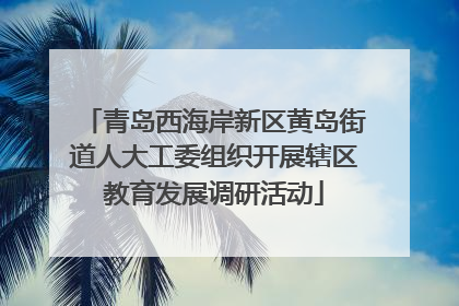 青岛西海岸新区黄岛街道人大工委组织开展辖区教育发展调研活动