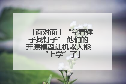面对面丨“拿着锤子找钉子” 他们的开源模型让机器人能“上学”了