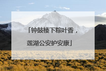 钟鼓楼下粽叶香，莲湖公安护安康