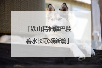 铁山精神耀巴陵 碧水长歌颂新篇