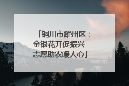 铜川市耀州区：金银花开促振兴 志愿助农暖人心