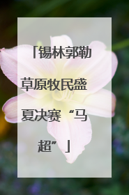 锡林郭勒草原牧民盛夏决赛“马超”