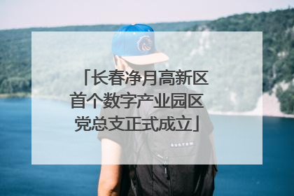 长春净月高新区首个数字产业园区党总支正式成立