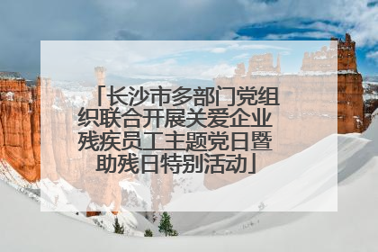 长沙市多部门党组织联合开展关爱企业残疾员工主题党日暨助残日特别活动