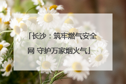 长沙：筑牢燃气安全网 守护万家烟火气