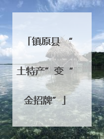 镇原县 “土特产”变“金招牌”