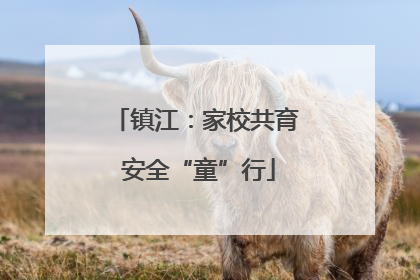 镇江：家校共育 安全“童”行