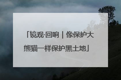 镜观·回响｜像保护大熊猫一样保护黑土地