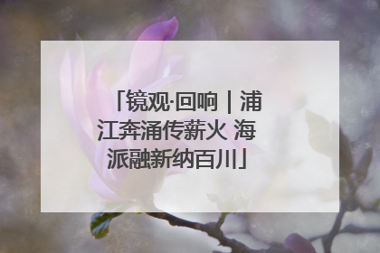 镜观·回响｜浦江奔涌传薪火 海派融新纳百川