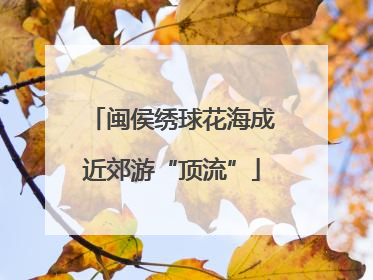 闽侯绣球花海成近郊游“顶流”