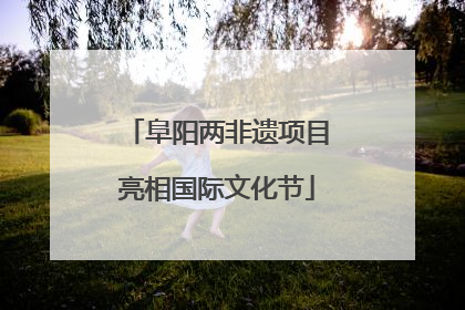 阜阳两非遗项目亮相国际文化节