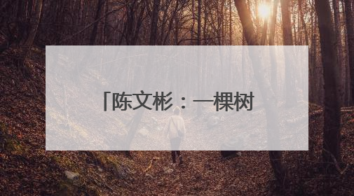 陈文彬：一棵树 一个庄 一块碑 一位英雄