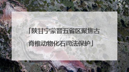陕甘宁蒙晋五省区聚焦古脊椎动物化石司法保护