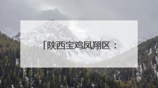 陕西宝鸡凤翔区：“连心角”架起服务桥 文明实践助力“三夏”农忙