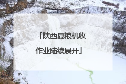 陕西夏粮机收作业陆续展开