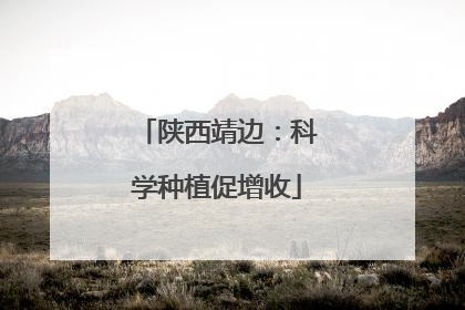 陕西靖边：科学种植促增收