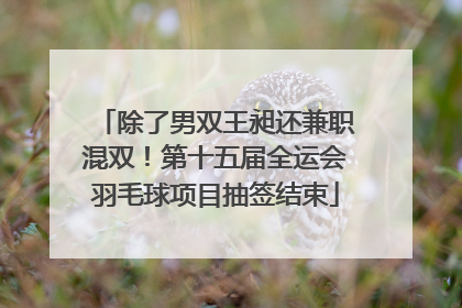 除了男双王昶还兼职混双！第十五届全运会羽毛球项目抽签结束
