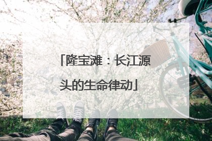 隆宝滩：长江源头的生命律动
