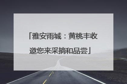雅安雨城：黄桃丰收 邀您来采摘和品尝
