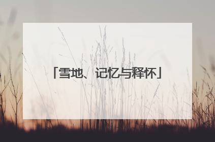 雪地、记忆与释怀