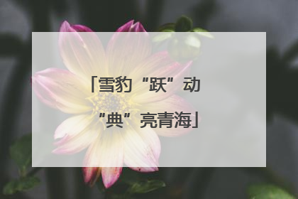 雪豹“跃”动 “典”亮青海