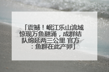 震撼！岷江乐山流域惊现万鱼翻涌，成群结队绵延两三公里 官方：鱼群在此产卵