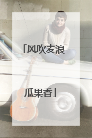 风吹麦浪 瓜果香