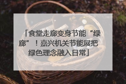 食堂走廊变身节能“绿廊”！嘉兴机关节能展把绿色理念融入日常
