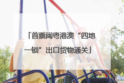 首票闽粤港澳“四地一锁”出口货物通关