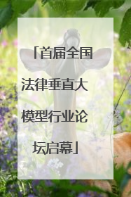 首届全国法律垂直大模型行业论坛启幕