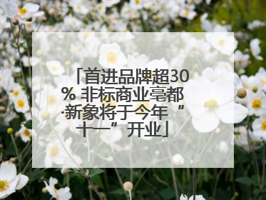 首进品牌超30% 非标商业亳都·新象将于今年“十一”开业